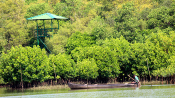 Indien. Aussichtsturm zur Mangrovenüberwachung © GIZ
