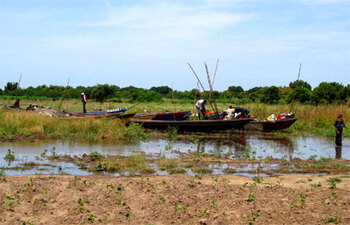Tschad. Überflutung der Felder während der Regenzeit: Vernichtung der Ernte am Tschadsee (Foto: Dr. Lames) © GIZ