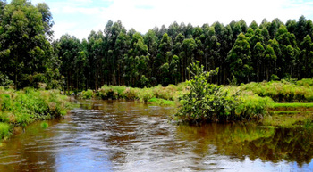 Uganda. Fluss bei Hochwasser. © GIZ