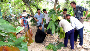 Vietnam. Entwicklungshelfer Hans Wiberg-Wagner trainiert Bauern in Dong Nai im Schnitt von Kakaobäumen. © GIZ