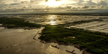 Vietnam. Mangrovenaquakultur im Mekong-Delta © GIZ