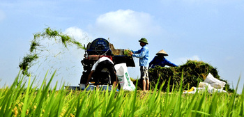 Vietnam. Rice residue resource © GIZ