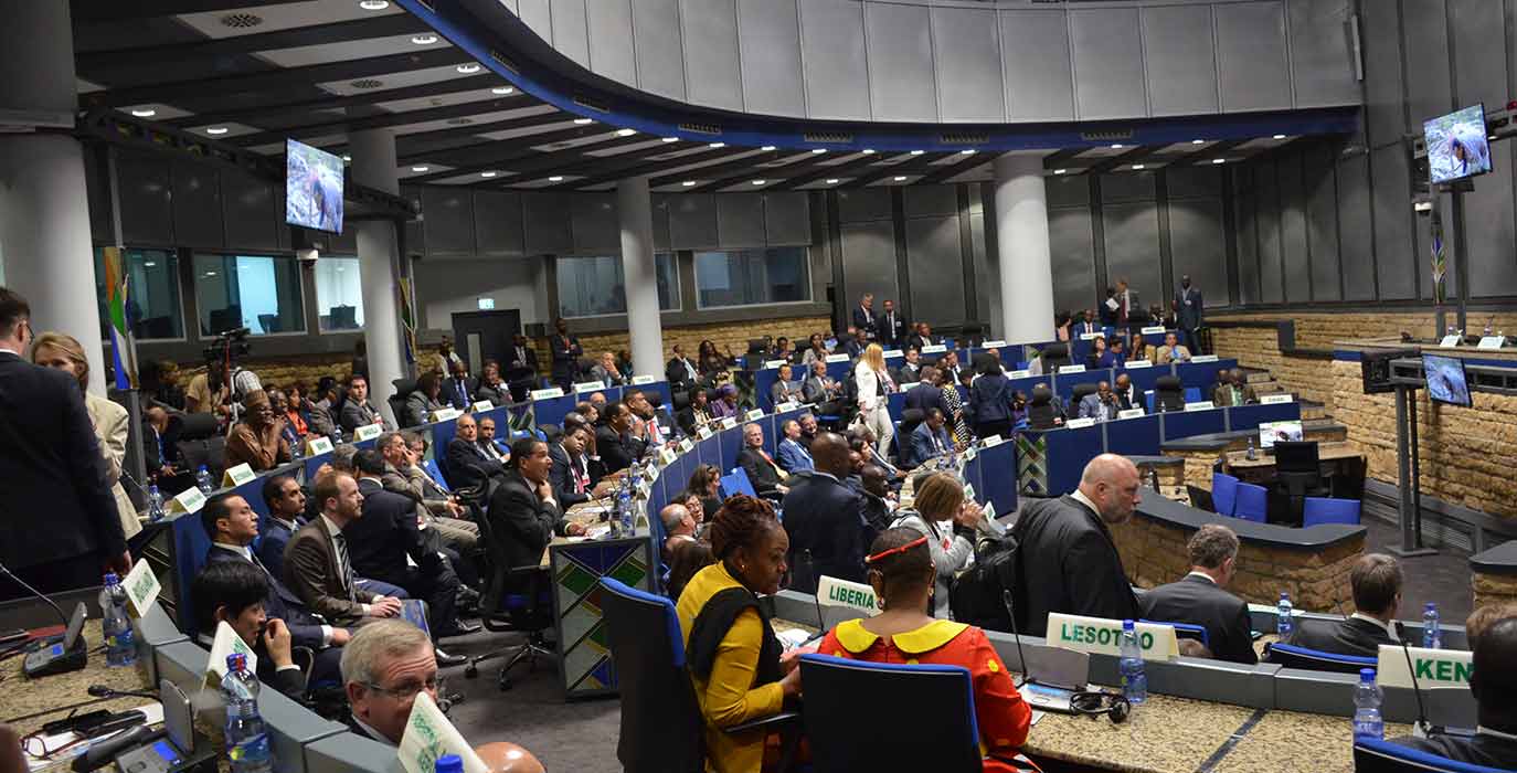 Plenarsaal mit Delegierten aus verschiedenen afrikanischen Ländern
