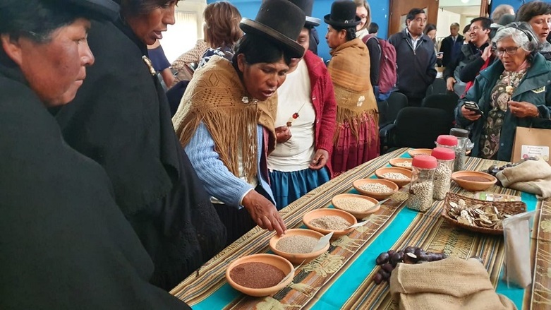• EUROCLIMA+_3: Eine Frau informiert sich über klimaresilientes Saatgut bei einer Projektauftaktveranstaltung in Bolivien