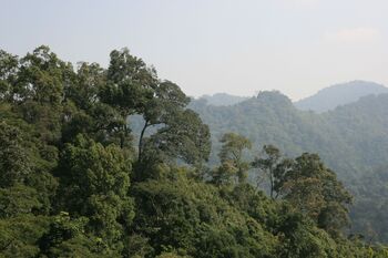 Forest land near Ban Houaxiang in Xam Neua district - Sebastian Koch 201.._
