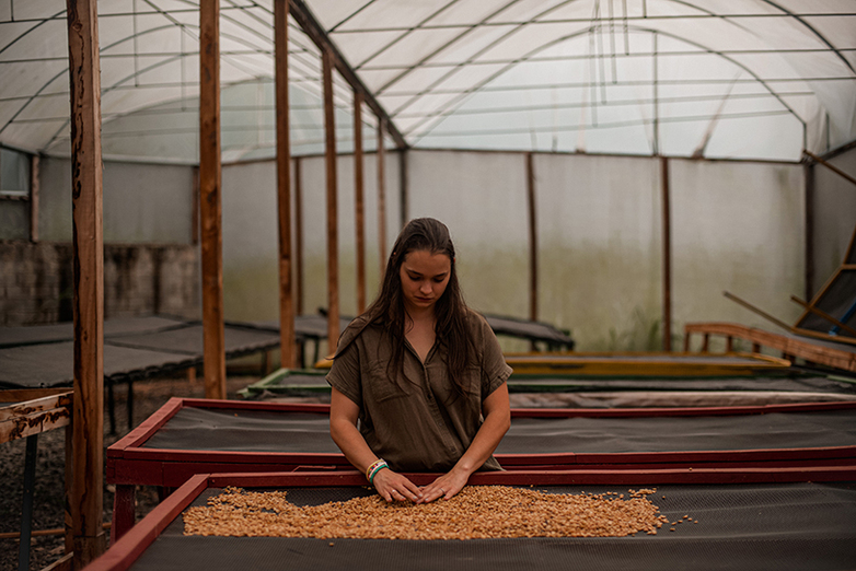 Fotografía 1: GIZ / Pablo Cambronero La propietaria de una procesadora de café analiza la calidad de los granos de café.