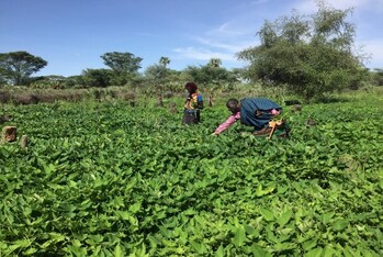 GIZ2019_Drought resilience_2