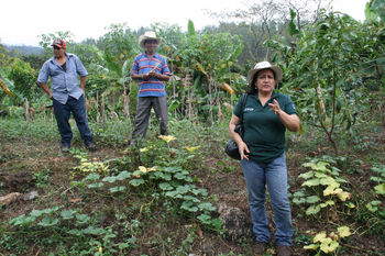 Honduras. Clifor personnel give the rural population in Yoro some practical advice on how to adapt to climate change in the forest sector. © GIZ