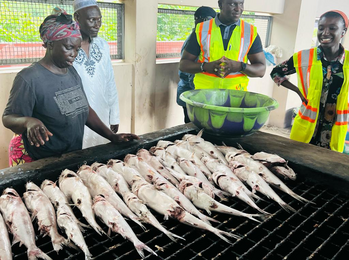 Trainees standing at a fish smoking facility in The Gambia. 