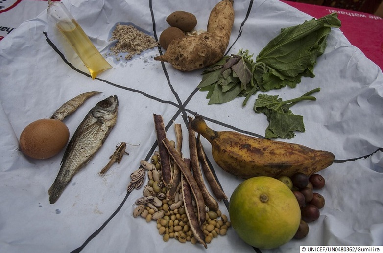 Close-up Portrait of vegetables, dry fish, ground nuts, and bananas (six food groups). © UNICEF/UN0704735/Khanyizira  