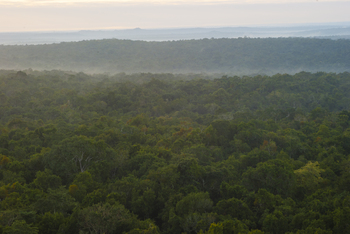 The Selva Maya landscape-Selva Maya Programme
