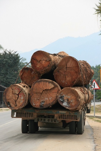 Timber truck in Xieng Khouang province - Sebastian Koch 2013