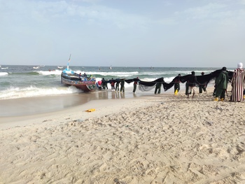 giz-2023-image-unloading-the-fishing-nets-at-the-beach-of-nouakchott