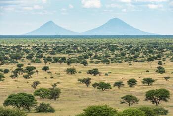 Restored savannah in the foreground, where the bush has already been selectively thinned. Bush-encroached savannah in the background (©Tim Brunauer / GIZ)