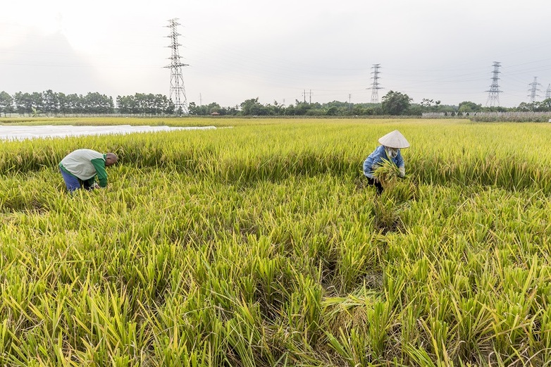 giz-vietnam-klimaschutz-03