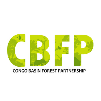 giz2020_en_CBFP_Logo