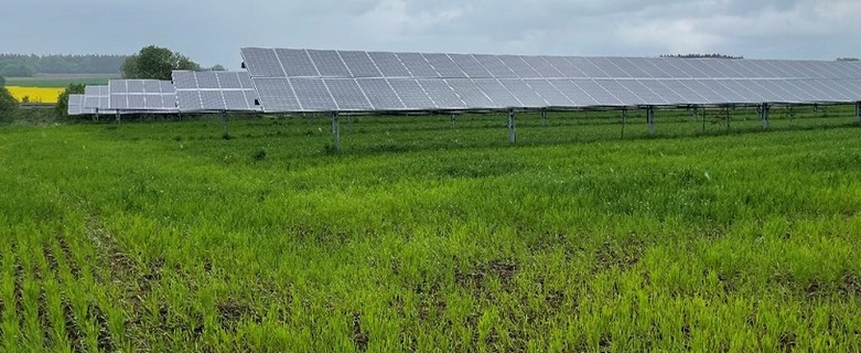 An Agri-PV installation in Althegnenberg. Photo : GIZ