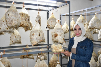 Entrepreneur showing mushroom product.