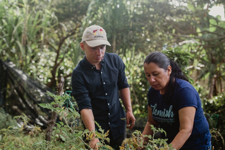 A Latin American woman and a Latin American man are standing in a forest taking care of a plant.