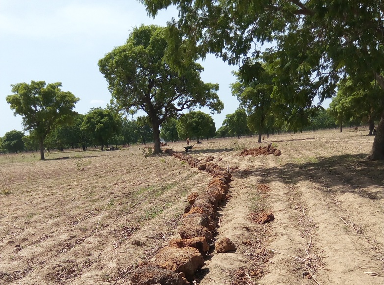 A Dike in a field.