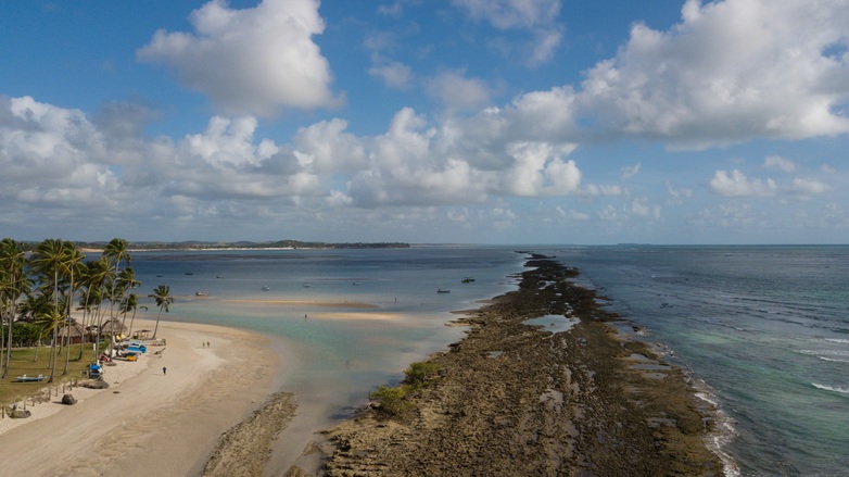 Mangrove clean-up event to combat marine litter in Tamandaré, Pernambuco. Photo: Pedro Caldas/SEMAS-PE