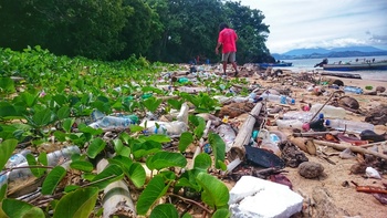 Plastic bottles pollute beaches worldwide.