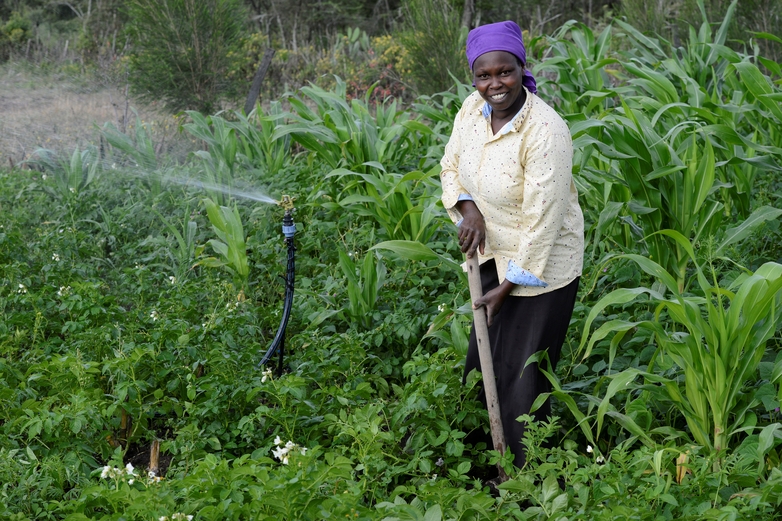 A smallholder farmer working in a field next to a solar powered irrigation system. 