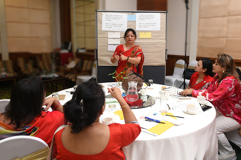 Coordination with female entrepreneurs’ association for the promotion of renewable energy and energy efficiency.