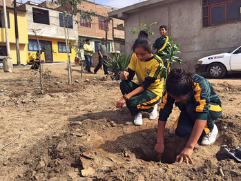Girls planting trees in San Juan de Miraflores.