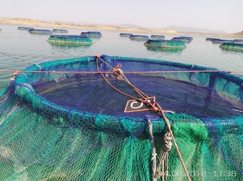 Aquaculture continentale: Cages flottantes pour l’élevage de Tilapia. © GIZ/Youness Kharchaf