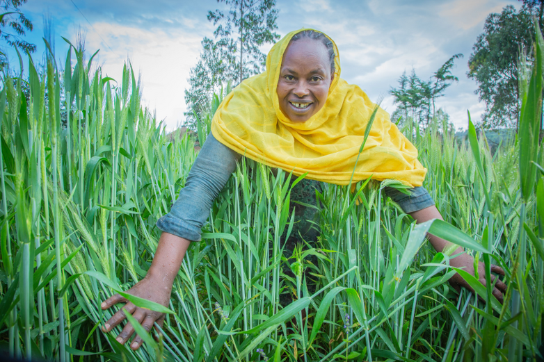 A woman stands in a field of grain in Ethiopia. © GIZ/Abinet Shiferaw