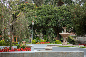 Plants surround a fountain in Morazán city park in San José. Photo: GIZ/Manduca