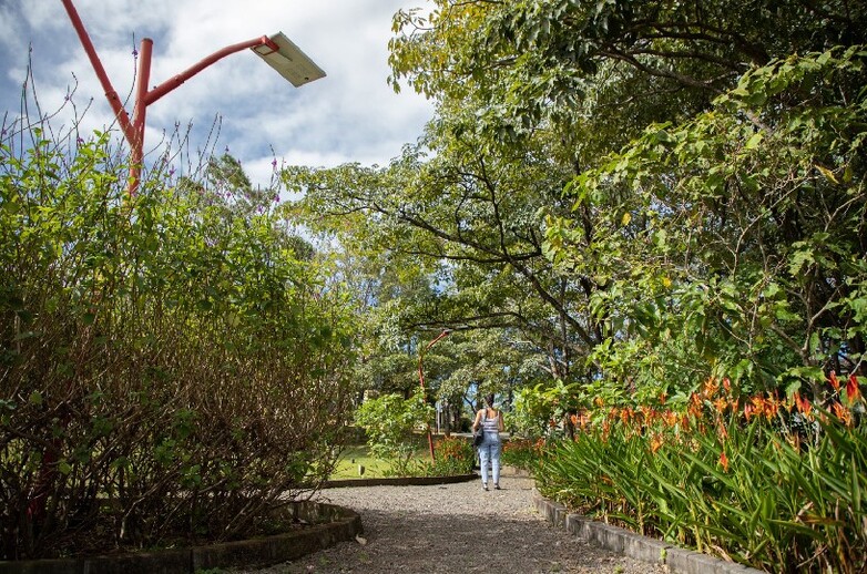 A woman standing in the ‘Pollination Garden’ in Curridabat, Costa Rica. Photo: GIZ/Manduca