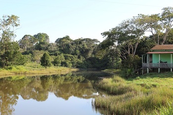 Amazon forest and river landscape in an extractive reserve, Acre State