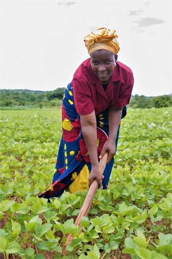 Woman in soya field