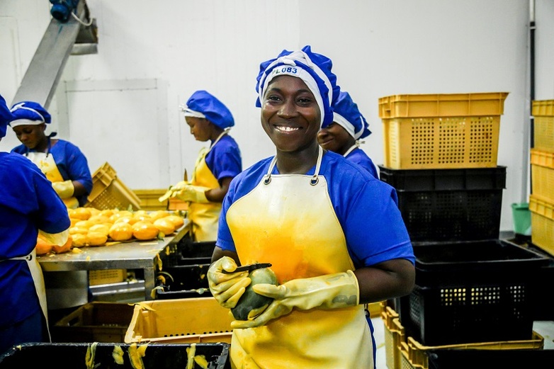 Women in a mango-processing business 
