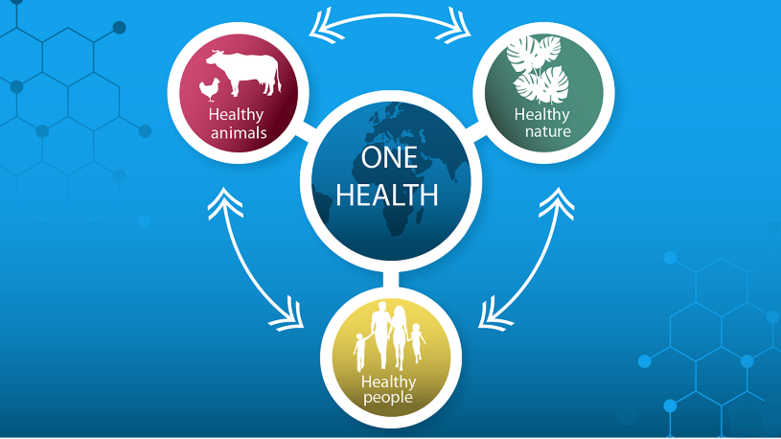 Graphic for One Health: Healthy animals, healthy nature, healthy people ©BMZ