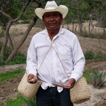 Pequeño productor de frijoles y maíz, México