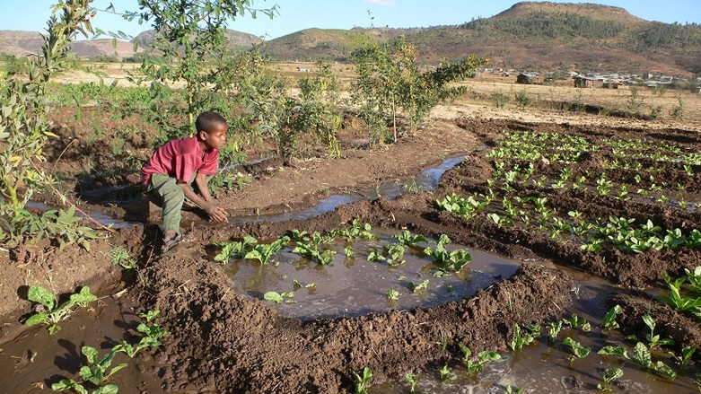 Small-scale irrigation in the Ethiopian highlands. Copyright: GIZ.