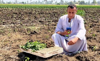A man sitting in a field uses a smartphone app to identify a seedling he is holding.