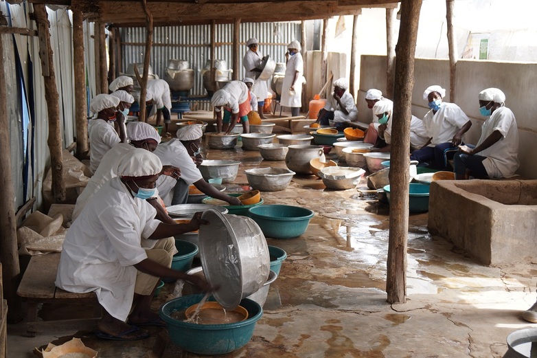 Des employé·e·s lavent du fonio dans une petite entreprise à Niamtougou.