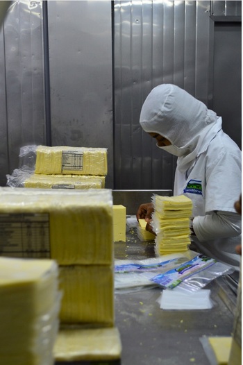 Un trabajador con vestuario higiénico envasa queso.