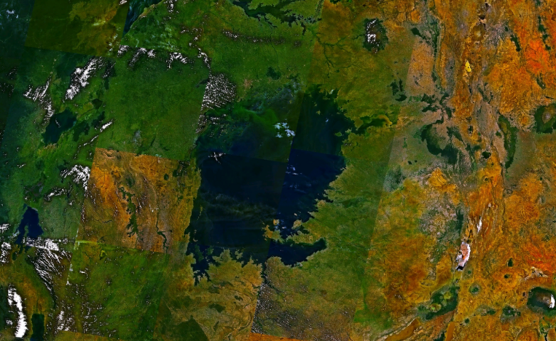 Satellite image of Lake Victoria.
