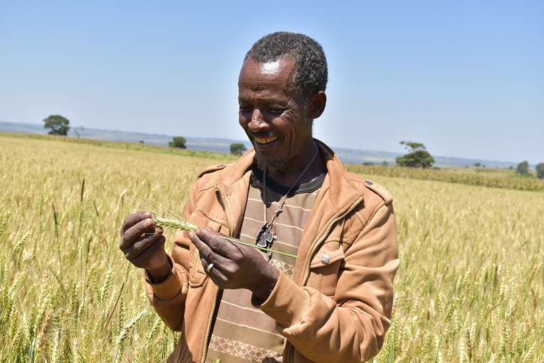 A member of seed production and Marketing cooperative in Amhara region of Ethiopia holding his well performing barley seed. Copyright: GIZ/Muluneh Tolosa/ 2020