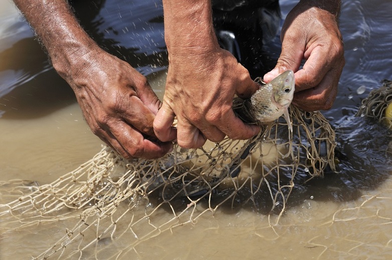 El proyecto fomenta métodos de pesca sostenible [entre las cooperativas pesqueras locales].