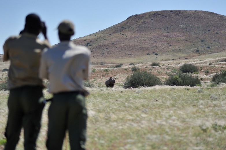 Wildlife also roams free outside of protected areas in Namibia