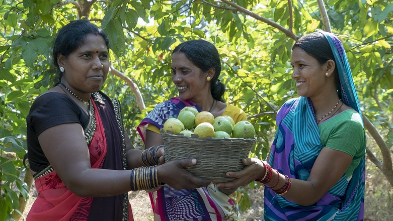 Three smiling women hold a basket of fruit. Copyright: GIZ.