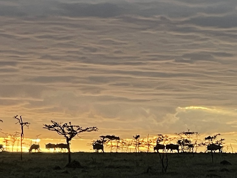 Sunset in the Mara © GIZ Huber