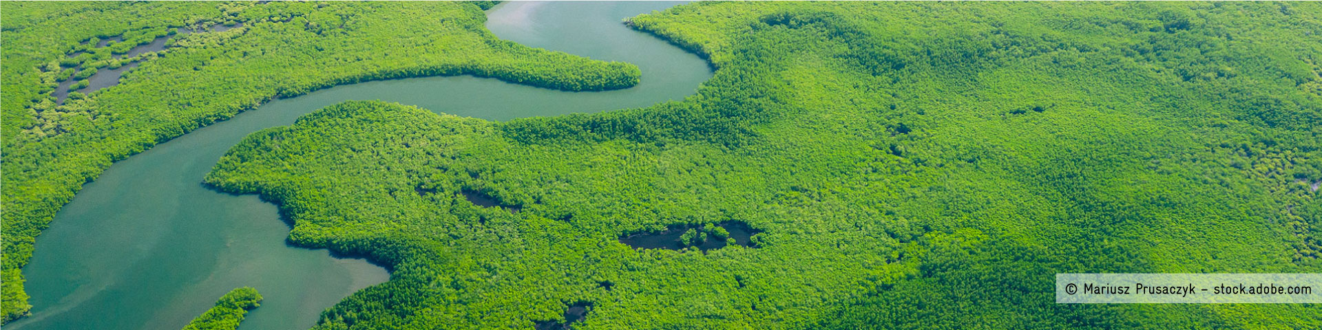 Um rio serpenteia uma paisagem verde. © Mariusz Prusaczyk – stock.adobe.com