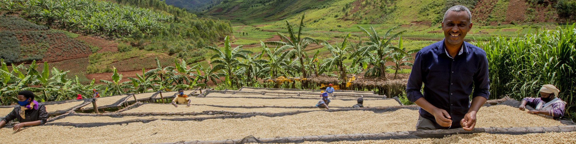 A coffee farmer and workers drying beans.